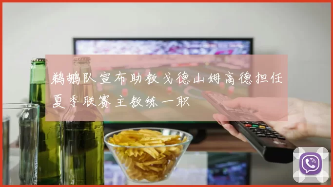 鹈鹕队宣布助教戈德山姆高德担任夏季联赛主教练一职