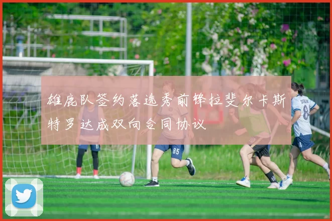 雄鹿队签约落选秀前锋拉斐尔卡斯特罗达成双向合同协议